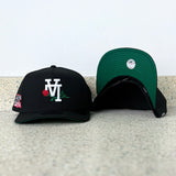New Era Los Angeles Dodgers 1981 World Series Green UV 9Fifty A-Frame Snapback (Black)