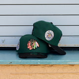 New Era Chicago Blackhawks 42nd All Star 9FIFTY A-Frame Snapback-(Green/Black) - New Era