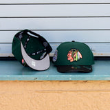 New Era Chicago Blackhawks 42nd All Star 9FIFTY A-Frame Snapback-(Green/Black) - New Era