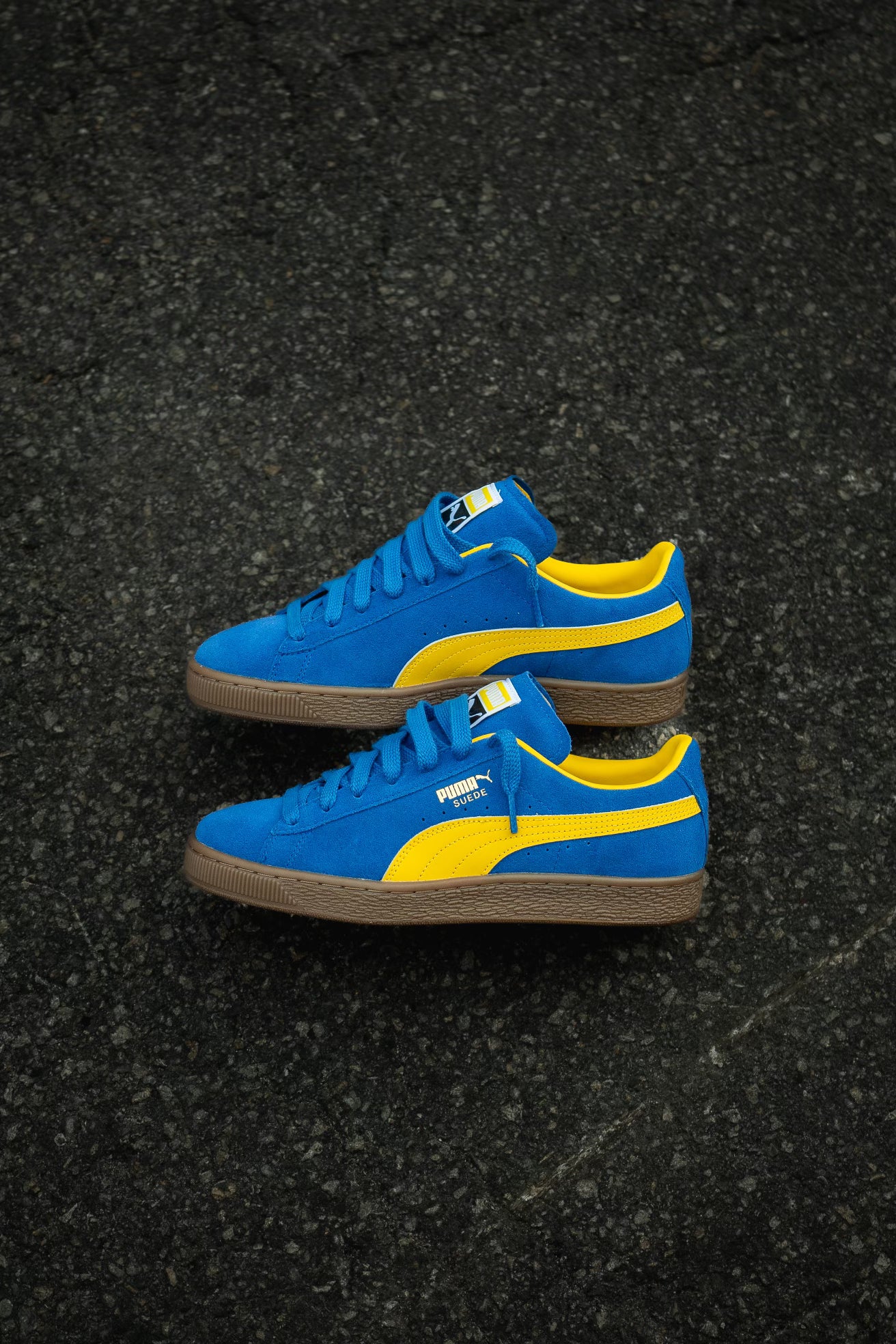 Puma Suede Terrace (Cobalt Glaze/Pelé Yellow) - Puma