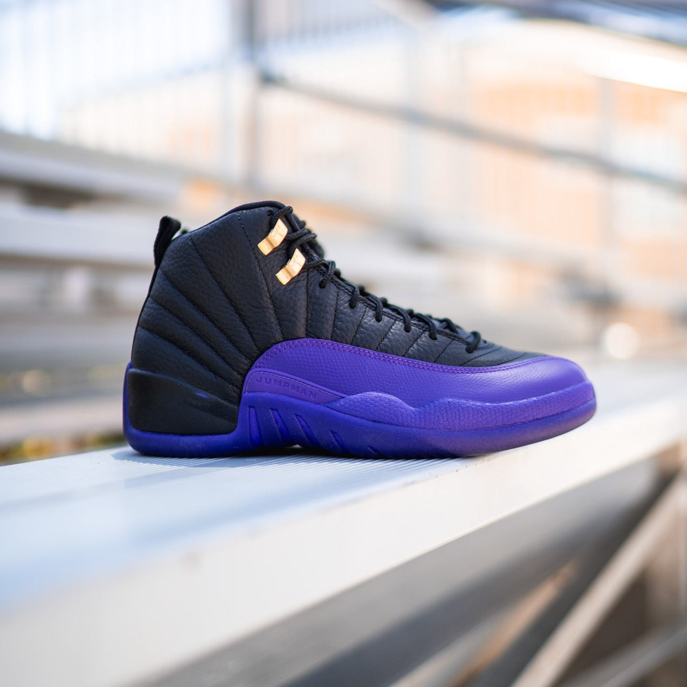 Purple jordan fashion 12s