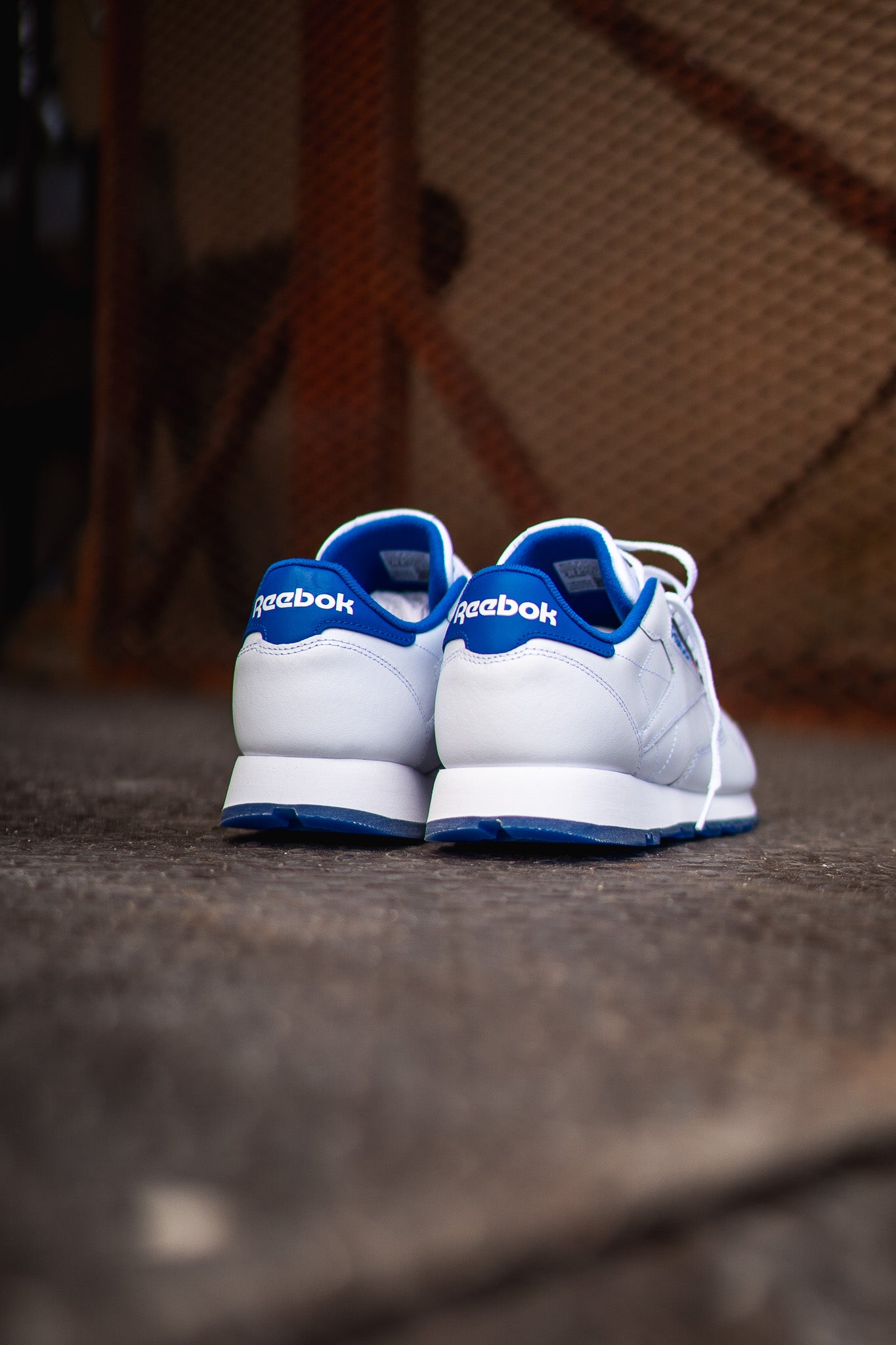 Mens Reebok Classic Leather (White/Blue) - Reebok