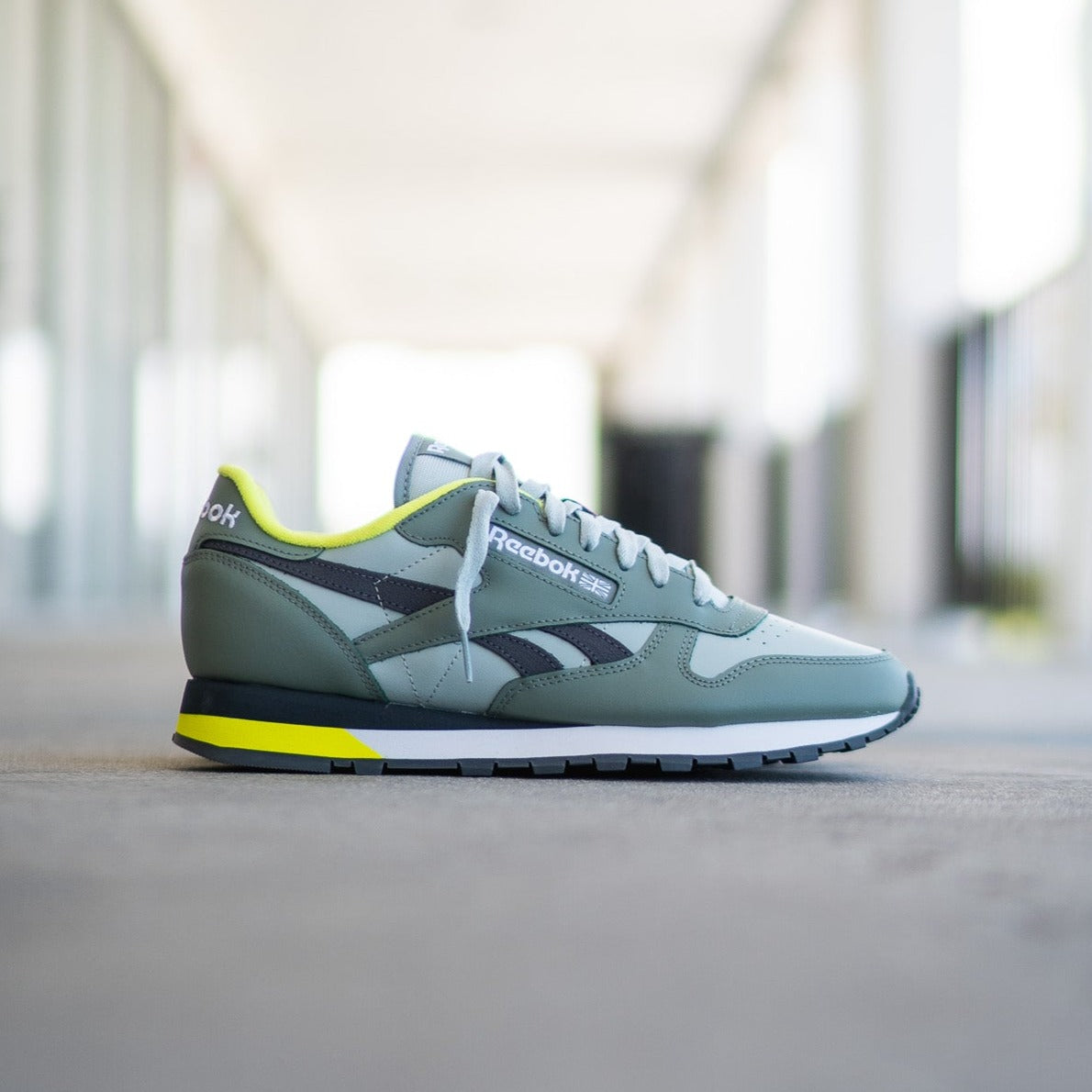 Reebok classic leather verte online