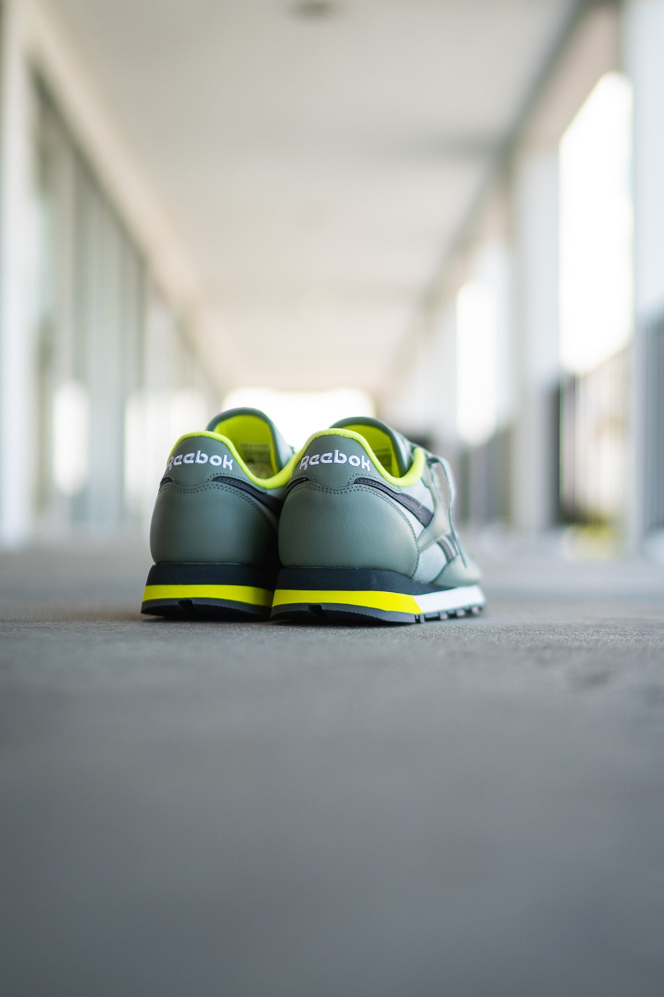 Men's Reebok Classic Leather (Harmony Green/Sea Spray) - Reebok