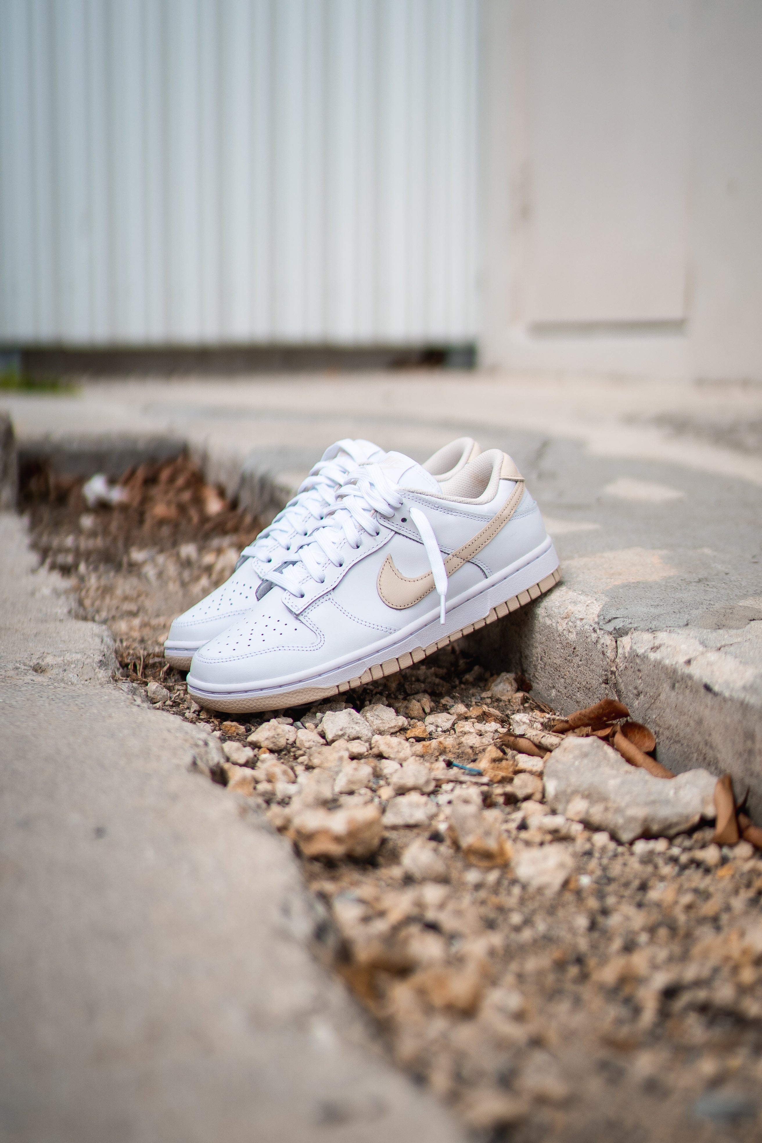 Women Nike Dunk Low (Pearl White)